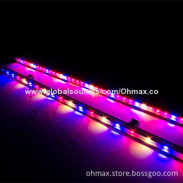 IP65 Waterproof 36W LED Grow Lights for Lettuce/Cabbage Indoor and Greenhouse Plants Growing
